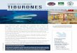 La MaRea eSTa caMBiando TIBURONES - defenders.org · Veintiséis especies de tiburones ahora se encuentran En Peligro de Extinción ... VeneZueLa (2012) Las medidas de conserVación