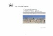 Los problemas ambientales de la Comarca de Doñanaawsassets.wwf.es/downloads/evaluacion_de_problemas_ambientales... · Los problemas ambientales de la Comarca de Doñana. ... Se exporta