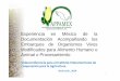 Experiencia en México de la Documentación …igtcglobal.org/fileadmin/user_upload/Presentacion_IGTC_y_APPAMEX... · Fluvial en Barcazas 99. 10 Carga en tolvas de ferrocarril - 