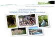 ¡VIAJES ESCOLARES! MOLINO DE BUTRERA (Las Merindades) · •Se encuentra situado en la comarca de “Las Merindades” en el norte de Burgos, sobre El Monumento Natural Ojo Guareña,