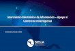 Intercambio Electrónico de Información Apoyo al … · FAUCA Gestión de Sistemas de Información Regionales •Declaración de Exportación •Declaración de Importación •Certificado