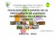 DIRECCIÓN REGIONAL AGRARIA LORETO … · gobierno regional de loreto direcciÓn regional agraria loreto focalizacion y oferta de la produccion de cultivos priorizados en la region