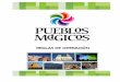 PROGRAMA PUEBLOS MÁGICOS. - …transparencia.info.jalisco.gob.mx/sites/default/files/Reglas de... · Si el dictamen es favorable, la localidad solicitante deberá de iniciar el proceso