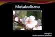 Metabolismo - webzoom.freewebs.com · • Metabolismo: es el total de las reacciones químicas que ocurren en una célula. • Las reacciones se encadenan en sucesiones llamadas vías