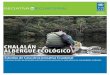 CHALALÁN ALBERGUE ECOLÓGICO - … · cubre un área de 1.270.000 hectáreas y el Área Natural de Manejo Integrado (ANMI), que cubre las restantes 624.000 hectáreas. Es permitida