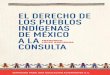 20/06/17 El Derecho de los Pueblos Indígenas en …€¦ · ambiental y el derecho a la consulta de los pueblos indígenas. ... en América Latina- ha ... asimilación y planes de