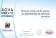 Título de la conferencia - AquaExpo Santa Elenaaquaexposantaelena.cna-ecuador.com/wp-content/uploads/2017/12/... · errores, corrección de estos y estandarización de protocolos