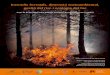 Incendis forestals, dimensió socioambiental, gestió del ... · Model de simulació del sistema forestal de Tivissa i Vandellòs (Tarragona) segons diferents escenaris ... Es discuteix