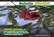 Boletín REDCREredcre.com/wp-content/uploads/2017/10/Boletin_REDCRE_91_2015.pdf · do como un centro de investigación ... Jardín Botánico de Bogotá José Celestino Mutis ... permitió