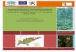 FUNDACIÓN NATURA Inventario forestal y de materia … · FORMACIONES VEGETALES DE LA CORDILLERA DEL ... petroleras, deforestación y ... para su respectiva evaluación. Cuadro 1