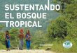ORGANIZACIÓN INTERNACIONAL DE LAS … el bosque tropical.pdf · 3 SUSTENTANDO EL BOSQUE TROPICAL ... Las perspectivas futuras de la comunidad han cambiado mucho con el proyecto