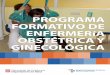 PROGRAMA FORMATIVO DE ENFERMERíA …icsgirona.cat/adjunts/files/ESPprograma_formativo_llevadores.pdf · El perfil competencial de la enfermera especialista en Enfermería Obstétrico-Ginecológica