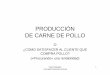 PRODUCCIÓN DE CARNE DE POLLO - asav.es · » Remuneración por Uniformidad de Tamaño. ... – COBB – HUBBARD ... With low airspeed at air inlet (