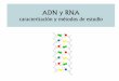 caracterización y métodos de estudio - Apache2 Ubuntu ...ufq.unq.edu.ar/Docencia-Virtual/BQblog/DNA-III.pdf · Lisis alcalina: buffer + EDTA ... Lisis de RNA Neutralización 