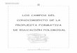 LOS CAMPOS DEL CONOCIMIENTO DE LA PROPUESTA FORMATIVA DE ...biblioteca.unp.edu.ar/asignaturas/pracensen/files/polimodal... · En cuanto a la enseñanza de la Comunicación en las