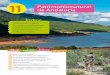 11 de Andalucía Patrimonio natural - cytisan.pbworks.comcytisan.pbworks.com/w/file/fetch/118296801/tema11_ccnn.pdf · Los pinares se adaptan bien a sustratos pedregosos y ... y forma