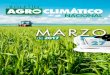 MARZO - fenalce.orgfenalce.org/archivos/boletin27.pdf · Esta propuesta se desarrolla desde el Ministerio de Agricultura y ... - Ñame - Palma de Aceite - Banano - Frijol - Región