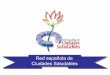 Red española de Ciudades Saludables - sergas.es€¦ · • envejecimiento saludable • promociÓn de la participaciÓn ciudadana • actuaciones con colectivos desfavorecidos 