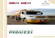 Mendoza Sauces, Neuquén Pampa Neuquén · Proveemos volquetes de 5m3, ... Nuestro sistema refleja un aumento en la productividad y eficiencia, reducción de costos; 