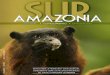 PITCTEC - Corpoamazonia · de las ideas y opiniones emitidas en sus artículos. CORPOAMAZONIA no se hace responsable por ... en especial del Sur de la Amazonia Colombiana. ... versión