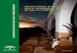 MANUAL PRÁCTICO DE MEDICIÓN DE CAZA EN … · manual prÁctico de mediciÓn para la homologaciÓn de trofeos de caza en andalucÍa 3ª edición 2013
