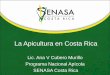 La Apicultura en Costa Rica - Centro para el … de sanidad Pensando en su salud SENASA certifica productos identificados con el sello "Símbolo de Sanidad" el cual garantiza la inocuidad