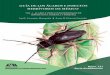 GUÍA DE LOS ÁCAROS E INSECTOS - … · que tiene más referencias en este texto, ya que es la publicación que edita la Sociedad Mexicana de Entomología, con los trabajos que se