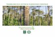 TRAZABILIDAD EN EL SECTOR DE PLANTACIONES FORESTALES … · TRAZABILIDAD EN EL SECTOR DE PLANTACIONES FORESTALES. GRUPO ... y monitoreo de los bosques y nuestras operaciones. 