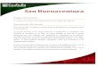 San Buenaventura - Gobierno De Coahuilacoahuila.gob.mx/.../mapas/pdfs/sanbuenaaventura.pdf · San Buenaventura, Juan Larios y Manuel de la Cruz. Posteriormente, debido a la ... San