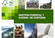 GESTIÓN FORESTAL Y CADENA DE CUSTODIAgraficascampas.com/pdf/ORICampasForest.pdf · FSC FSC: (Forest Stewardship Council, o consejo de administración forestal). Se trata de una organización