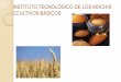INSTITUTO TECNOLÓGICO DE LOS MOCHIS …s58669cd9b381f673.jimcontent.com/download/version/1283718185/mo… · el cultivo de arroz es de 6.6, pues con este valor se ... frésoles,