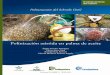 Polinización del hibrido OxG - Fitosanitario · • Reconocimiento de enfermedades en palma ... para el análisis y seguimiento de enfermedades e insectos plaga en las zonas 