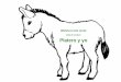 Guía de Lectura y recursos: Platero y yo - rmbs.esrmbs.es/blog/biblioteca-julia-uceda/wp-content/uploads/2014/03... · Platero y yo: la obra “Platero es un burro pequeño, peludo,