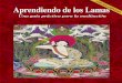 aprendiendo de los lamas digital - Libro Esotericolibroesoterico.com/biblioteca/budismo_/Aprendiendo de Los Lamas.pdf · Postraciones a los Treinta y Cinco Budas ... la depresión
