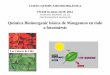 Química Bioinorganic básica de Manganeso en todo …depa.fquim.unam.mx/amyd//archivero/MANGANESE_22028.pdf · Química Bioinorganic básica de Manganeso en todo a fotosíntesis