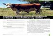 Condición corporal en vacas de cría: factores … · das por el manejo y la nutrición, pero también existe una base genética potencial. Los programas de evaluación genética