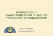 PRODUCCIÓN Y CARACTERIZACIÓN DE MIELES …agronomia.criba.edu.ar/laboratorios/archivos/labea/MIELES SURENAS.pdf · argentina es un importante exportador de miel pero la rentabilidad