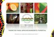 TRÁMITES PARA APROVECHAMIENTO FORESTAL · Desarrollo Sostenible del Sur de la Amazonia Colombiana, ... LAGO AGRIO SAN JOSÉ DEL GUAVIARE 70°0'0"W 70°0'0"W ... Agua Bl anca Rt o