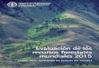 Evaluación de los recursos forestales mundiales 2015ecaths1.s3.amazonaws.com/desarrollosostenible... · Prólogo Las formas en que los bosques contribuyen al bienestar humano son