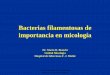 Bacterias filamentosas de importancia en micologíaecaths1.s3.amazonaws.com/micologiamedica/317665838.Bacterias... · TAXONOMÍA Reino: Bacteria Philum: Actinobacteria Orden: Actinomicetales