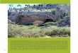 C A M I N Ostatic.malaga.es/malaga/subidas/archivos/5/2/arc_176125.pdfes un punto privilegiado desde el que observar esta imponente pa-norámica. 55 Cuevas de San MarcosArchidona Curiosidades