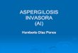 ASPERGILOSIS INVASORA (AI) - himfg.com.mxhimfg.com.mx/descargas/documentos/epidemiologia/Presentaciones... · Neumotórax Cáncer pulmonar ... Histología + Y Signos/síntomas+ Evidencia