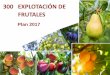 300 EXPLOTACIÓN DE FRUTALES · 2018-05-24 · ― Cultivos asegurables: Albaricoque, Ciruela, Manzana de mesa, Manzana de sidra, Pera, Melocotón, Nectarina, Paraguayo y Platerina