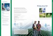 Sistema Accu-Tab - Paramount Chemicalsparamountchemicals.net/Documents/Spanish Irrigation Brochure PPG.pdf · goteo al minimizar la formación de ... de sodio en el tratamiento del