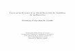 Guía práctica para la identificación de familias de ... · 8 Polychaeta Mediterráneo Español de finas cerdas quitinosas o sedas; denominada quetopodio. Los parapodios pueden