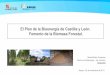El Plan de bioenergía de Castilla y León. Fomento de ... · •El Plan de la Bioenergía de Castilla y León -PBCyL. • Situación actual de la bioenergía en Castilla y León