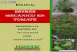 19.99€ - la malla para el soporte de tu cultivo® · El tomate o jitomate (Solanum lycopersicum L.) es una planta de la familia Solanaceae, es arbustiva de porte erguido al inicio,
