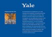 Yale · Colegio de Yale 2013–2014 En el momento de su fundación en 1701 Yale ... Estudio de Mujeres, Género y Sexualidad ... Historia de la Medicina