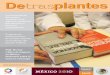 DETRASPLANTES 25 HxH - gob.mx · tráfico de órganos en México. Seminario sobre el tema en el Inacipe Número 25, enero-marzo de 2010 Revista del Centro Nacional de Trasplantes
