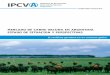 MERCADO DE CARNE VACUNA EN ARGENTINA ESTADO DE … · de Carne Vacuna en la Argentina”, mayo de 2006. ... las exportaciones, tal el caso de la carne vacuna, y a implementar regulaciones